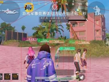 和平精英|和平精英gg辅助ios（使用和平精英gg辅助ios的法律风险有哪些？）-第2张图片-和平精英辅助网